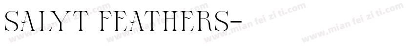 salyt feathers字体转换